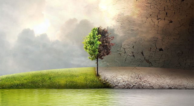 Il Regolamento Ecodesign per prodotti sostenibili: impatti e scenari per le aziende